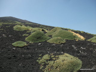 rra delle Concazze-06-08-2014 02-20-52